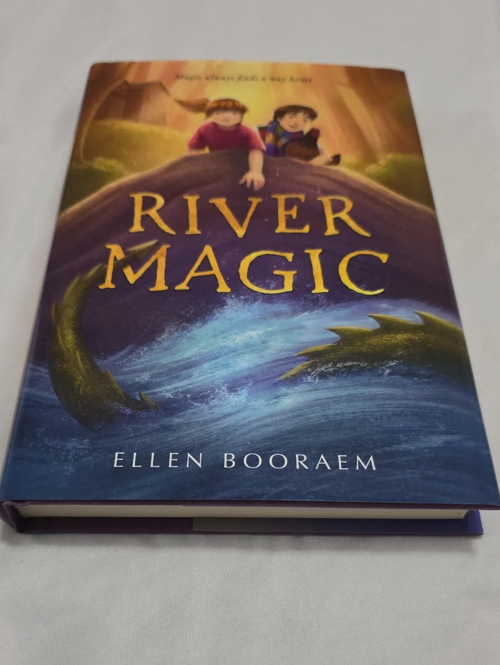 River Magic by Ellen Booraem - Hardcover